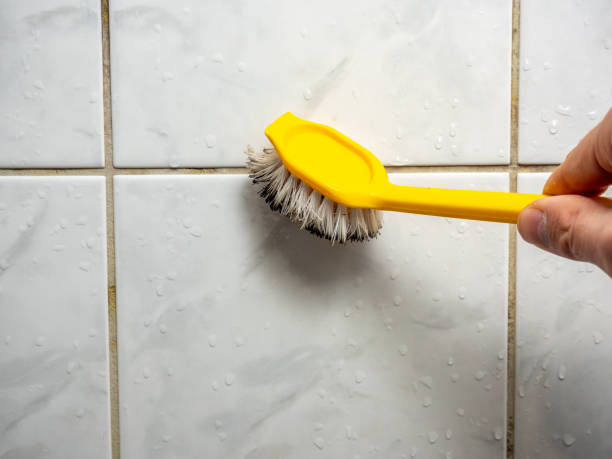 Best Residential Mold Remediation in Beaverton, MI