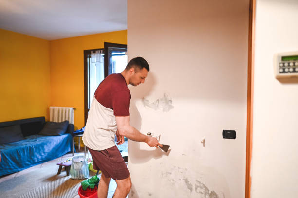 Best Residential Mold Remediation in Beaverton, MI